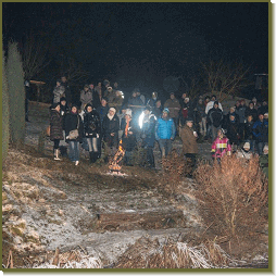 ApfAd (205)